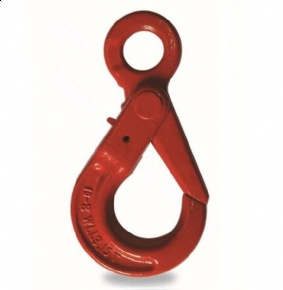 G80 Eye Safety Hook